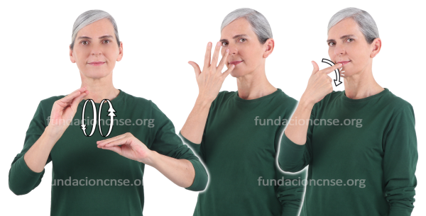 Reintegración cromática en Lengua de Signos Española Signado de reintegración cromática en Lengua de Signos Española