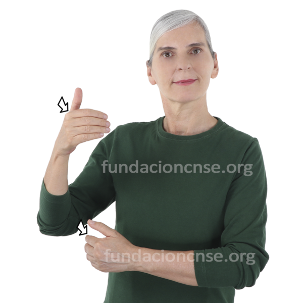 Samaritana en Lengua de Signos Española Signado de la palabra samaritana en Lengua de Signos Española