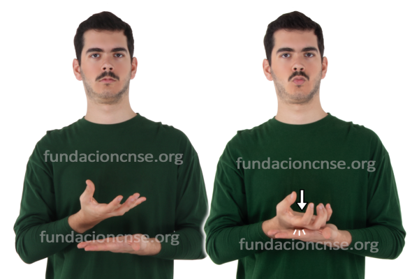 Secante en Lengua de Signos Española Signado de la palabra secante en Lengua de Signos Española