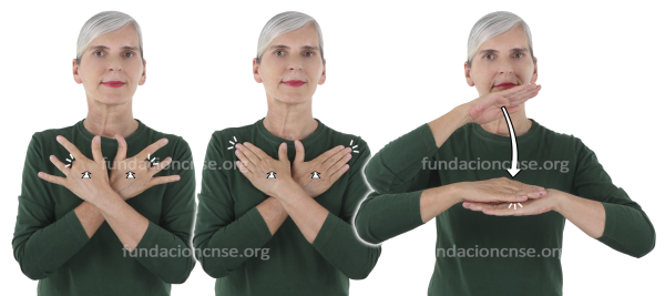 Virgen de la Humildad en Lengua de Signos Española Signado de Virgen de la Humildad en Lengua de Signos Española