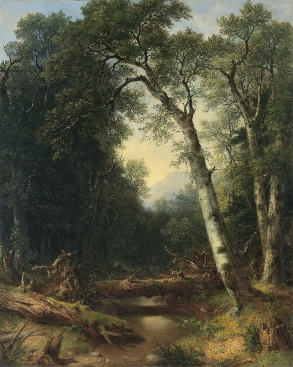 Un arroyo en el bosque. Asher Brown Durand Un arroyo en el bosque. Asher Brown Durand